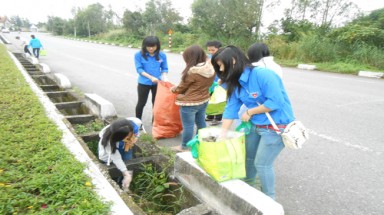   CLB Green Viet thu gom rác thải trên bán đảo Sơn Trà