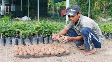  Ứng dụng “bom hạt giống” tái tạo hệ thực vật vùng khô hạn