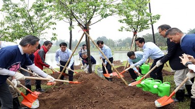  Trồng thêm 1.000 cây hoa anh đào tại Công viên Hòa Bình, Hà Nội