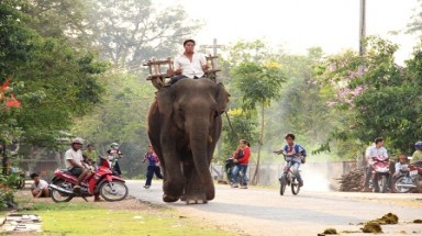  Độc đáo ngày hội Voi Buôn Đôn