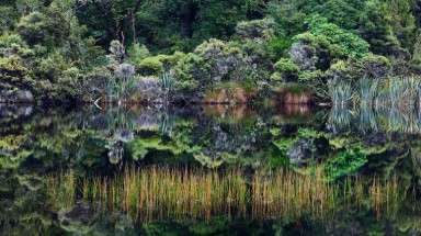  Thiên nhiên kỳ vĩ của New Zealand