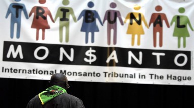 Monsanto: hủy diệt môi trường, đồng phạm chiến tranh...