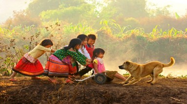   Triển lãm ảnh “Gặp gỡ mùa hè”