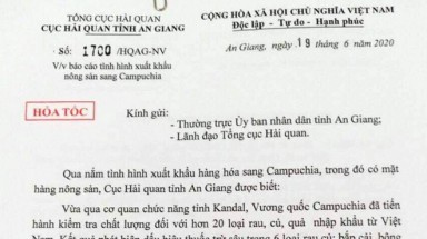  Cục Bảo vệ thực vật nói gì về việc 6 loại rau bị Campuchia cấm nhập khẩu?