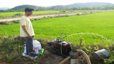   Phú Yên: Thiếu nước tưới cho lúa Hè Thu 