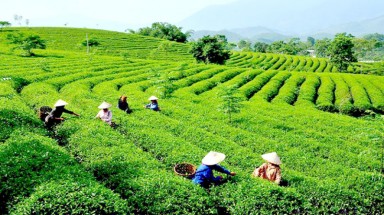  Thành lập Hội đồng thẩm định Nhiệm vụ lập Quy hoạch bảo vệ môi trường quốc gia