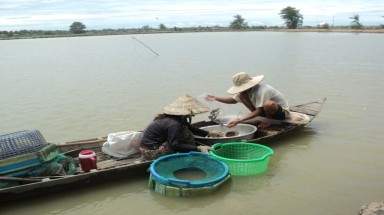  Đồng Tháp chủ trương xả lũ lấy phù sa 