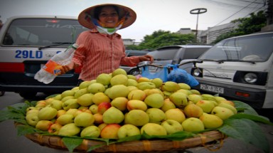  Rau quả Trung Quốc bán giá... “trời ơi”