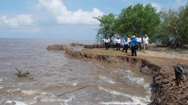  Sản xuất nông nghiệp trước biến đổi khí hậu: Bảo vệ môi trường biển và ngăn sạt lở