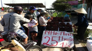  Nho Trung Quốc “biến hóa” thành nho...Ninh Thuận