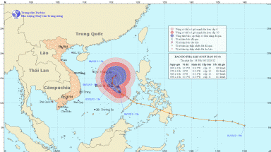  Bão số 9 cách đảo Song Tử Tây (Trường Sa) khoảng 250 km 