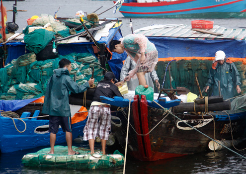 Nhiều[-]ngư[-]dân[-]nằm[-]lại[-]dưới[-]các[-]tàu[-]cá[-]công[-]suất[-]lớn[-]được[-]cột[-]chặt[-]vào[-]các[-]khu[-]neo[-]đậu[-]lo[-]lắng[-]ở[-]lại[-]tàu[-]để[-]chống[-]bão.[-]Người[-]nhà[-]của[-]họ[-]phải[-]mang[-]thức[-]ăn[-]ra