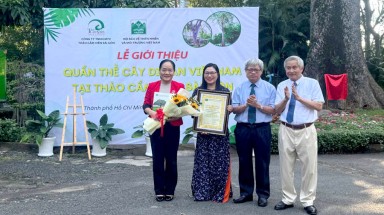  Những cây cổ thụ đầu tiên của Thành phố Hồ Chí Minh được công nhận Cây Di sản Việt Nam