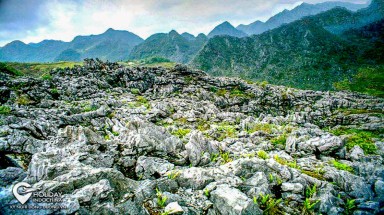  Tiềm năng và giải pháp bảo tồn tài nguyên cây thuốc tại Công viên địa chất toàn cầu- Cao nguyên đá Đồng văn