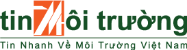 Môi trường